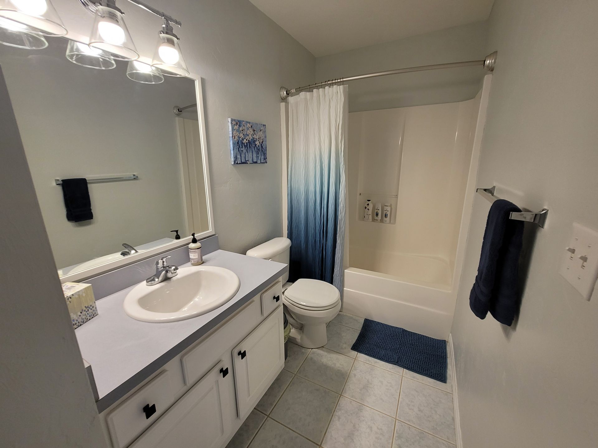 3 bed/ 2 bath home in a quiet neighborhood - Gainesville FL