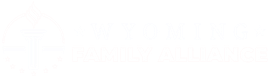 Mostly blank white image with a faint horizontal gray line across the center