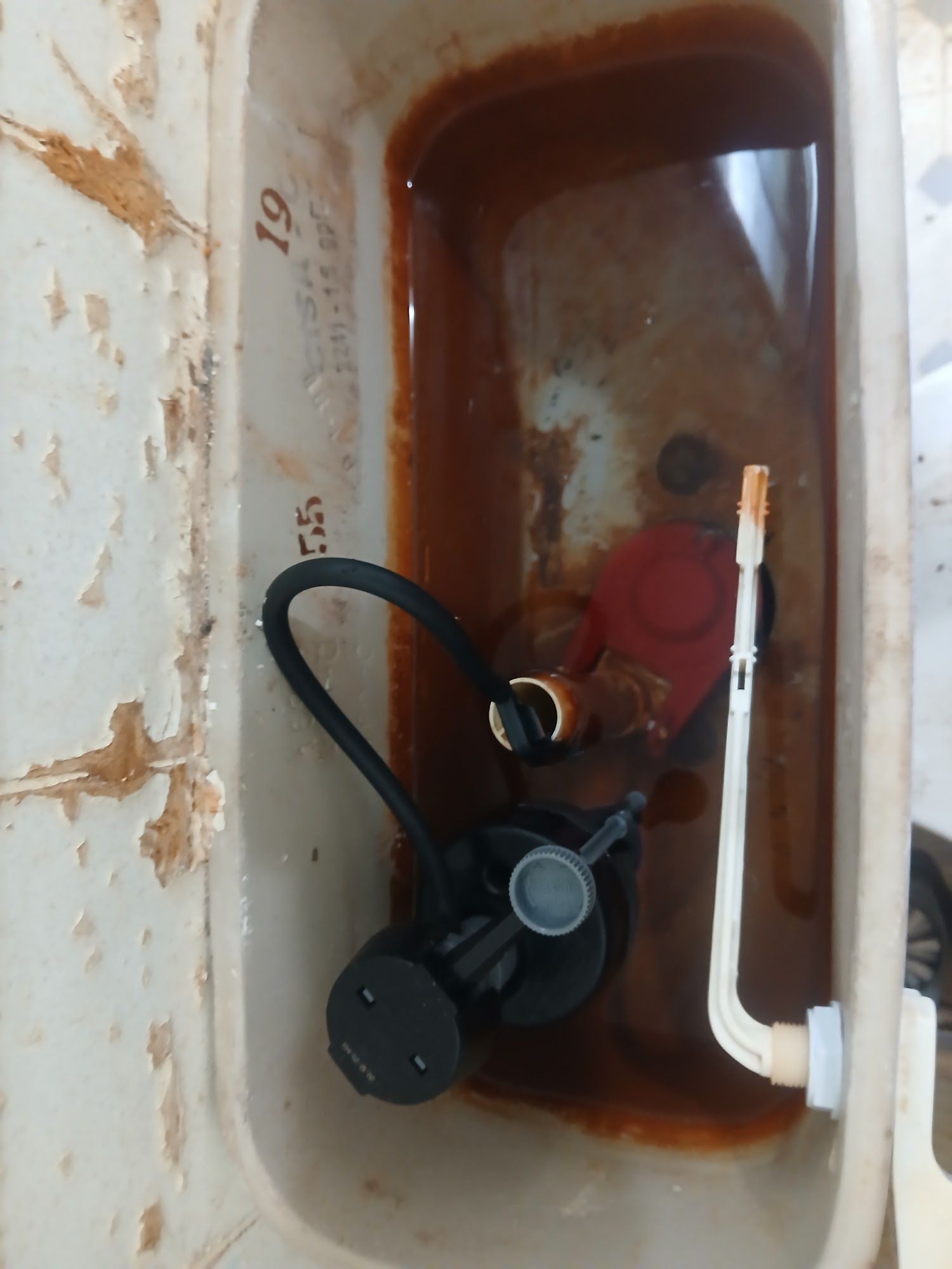 Rusty toilet tank with black fill valve and white float arm inside a dirty basin