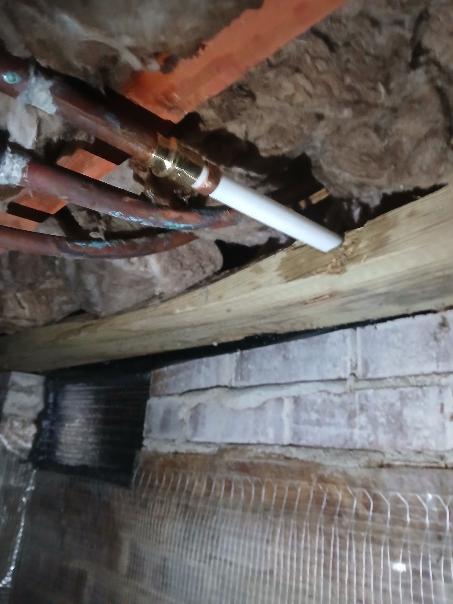 Insulation-filled crawlspace with copper pipes, a white pipe, and wood beams above a concrete wall.