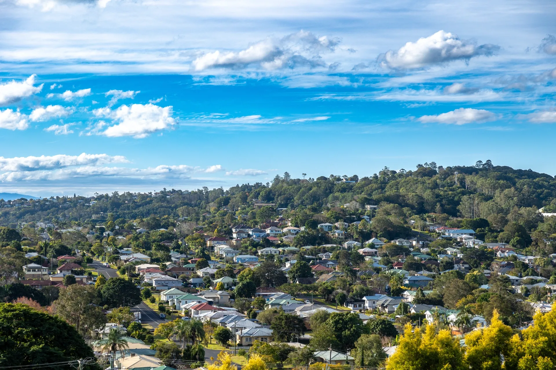 A Large Green Grassy Park With Several Trees — TJ Concreting in Lismore, NSW
