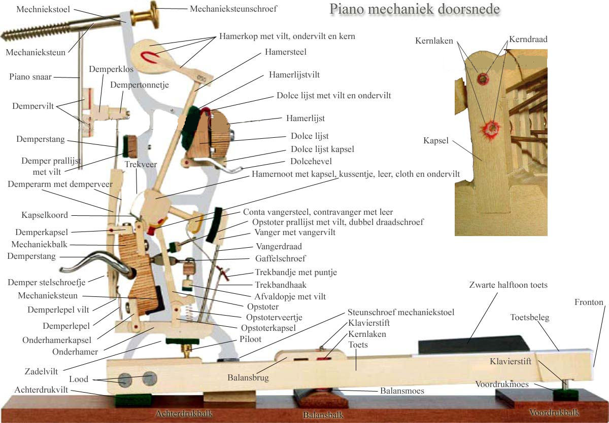 Dwarsdoorsnede van een piano Bas Otto Piano'sDwarsdoorsnede piano