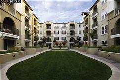 Chris Common, 342, Unit 110, Livermore 94550