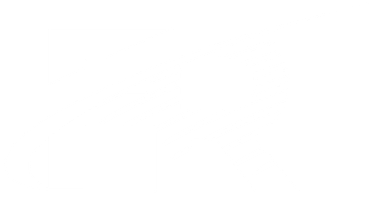 Logo FR Veicoli Commerciali