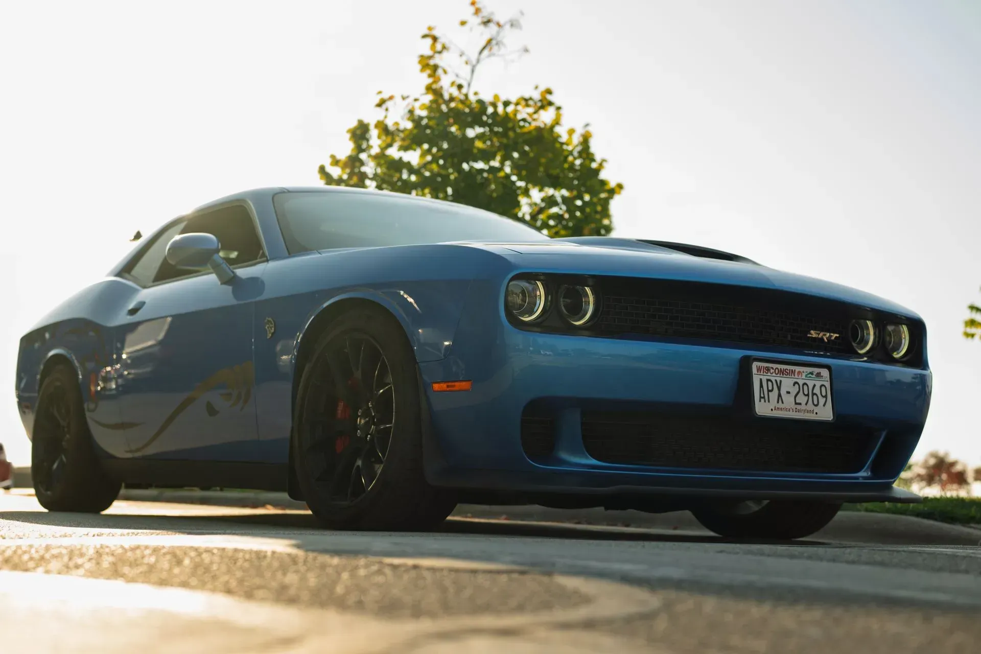 Blue sports car parked on a sunlit street, low-angle front view