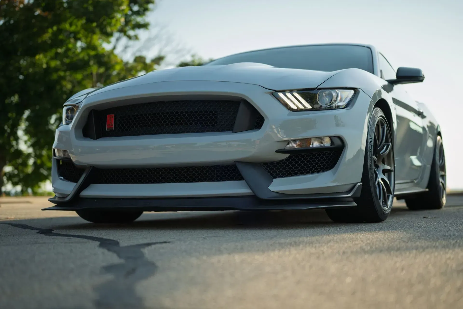 Gray sports car driving on a road, low-angle front view with trees in the background