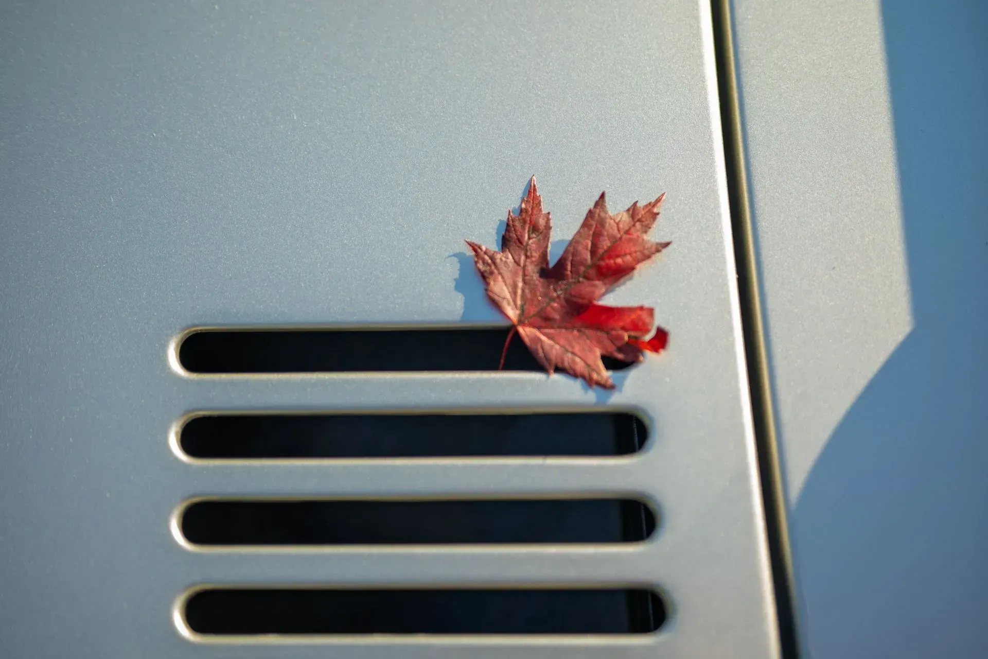 Red maple leaf resting on a silver metal vent with horizontal slats.