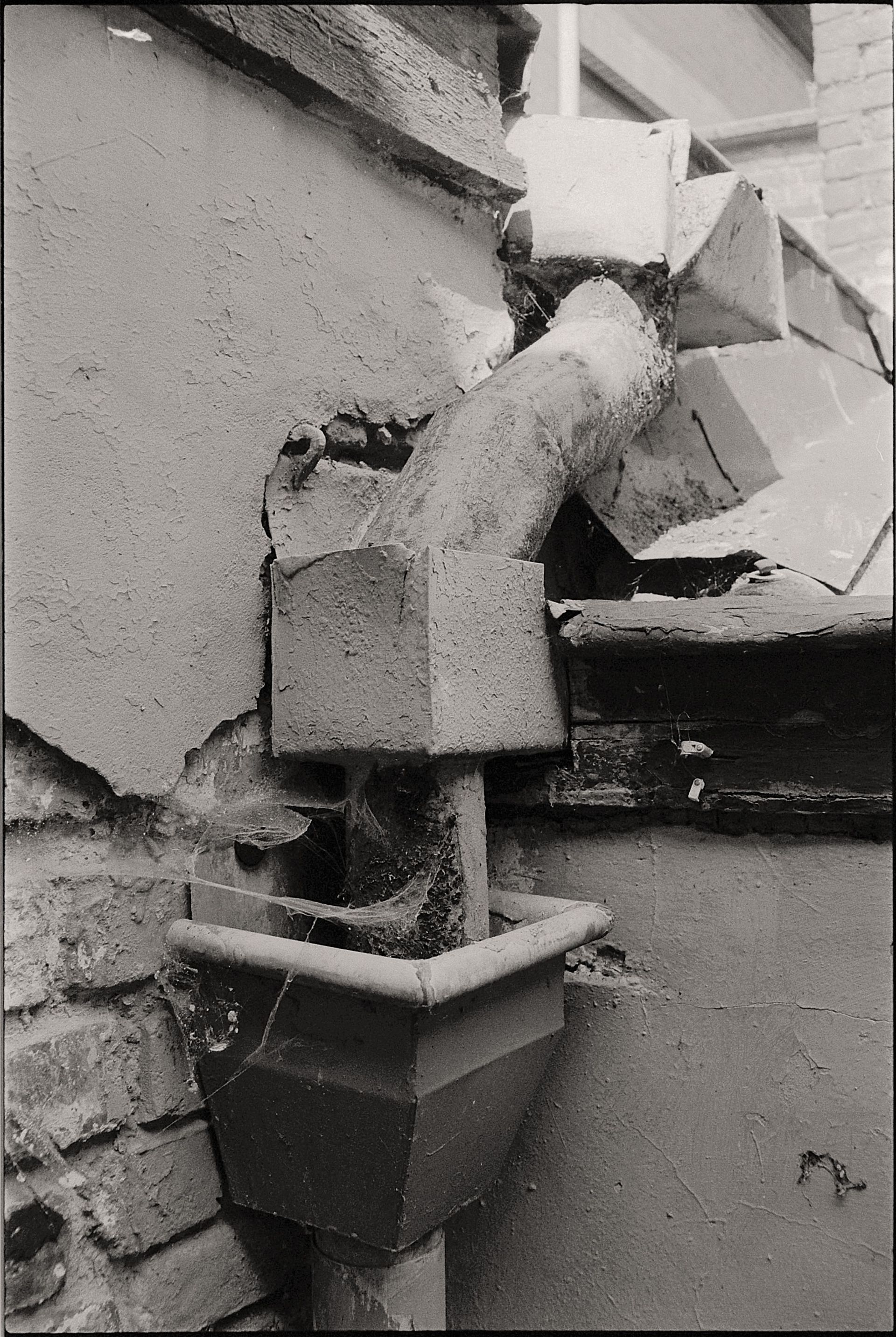 Damaged drain pipe exposed in a garden, showing signs of a collapsed drain in Dublin