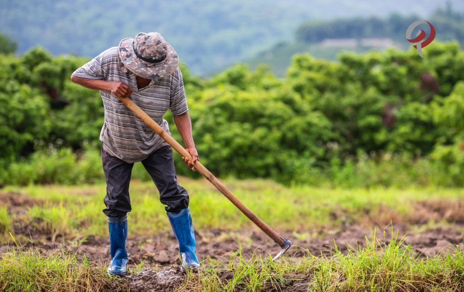 COMPROVAR A ATIVIDADE RURAL COM QUAIS DOCUMENTOS POSSO COMPROVAR A ATIVIDADE RURAL?