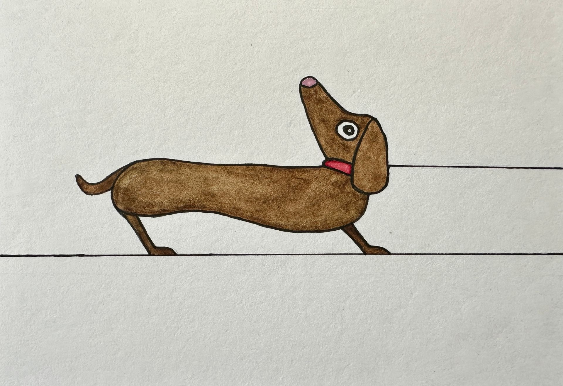 a dachshund who wants to go the other way than his owner