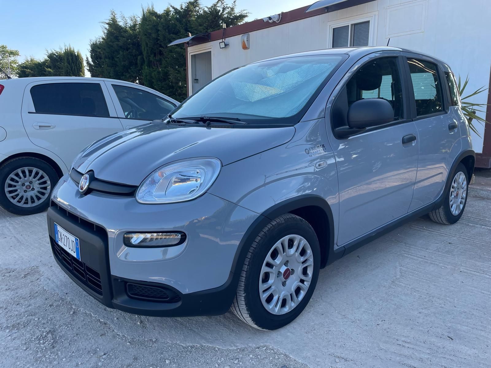 panda grigia a noleggio