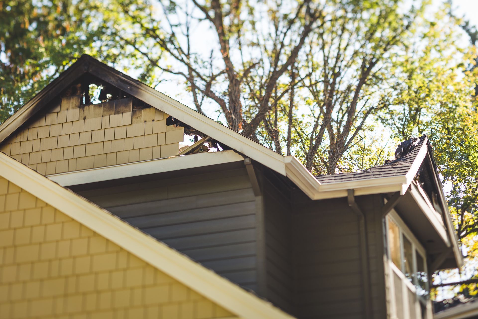 House roof and gables with beige siding beneath leafy trees in daylight