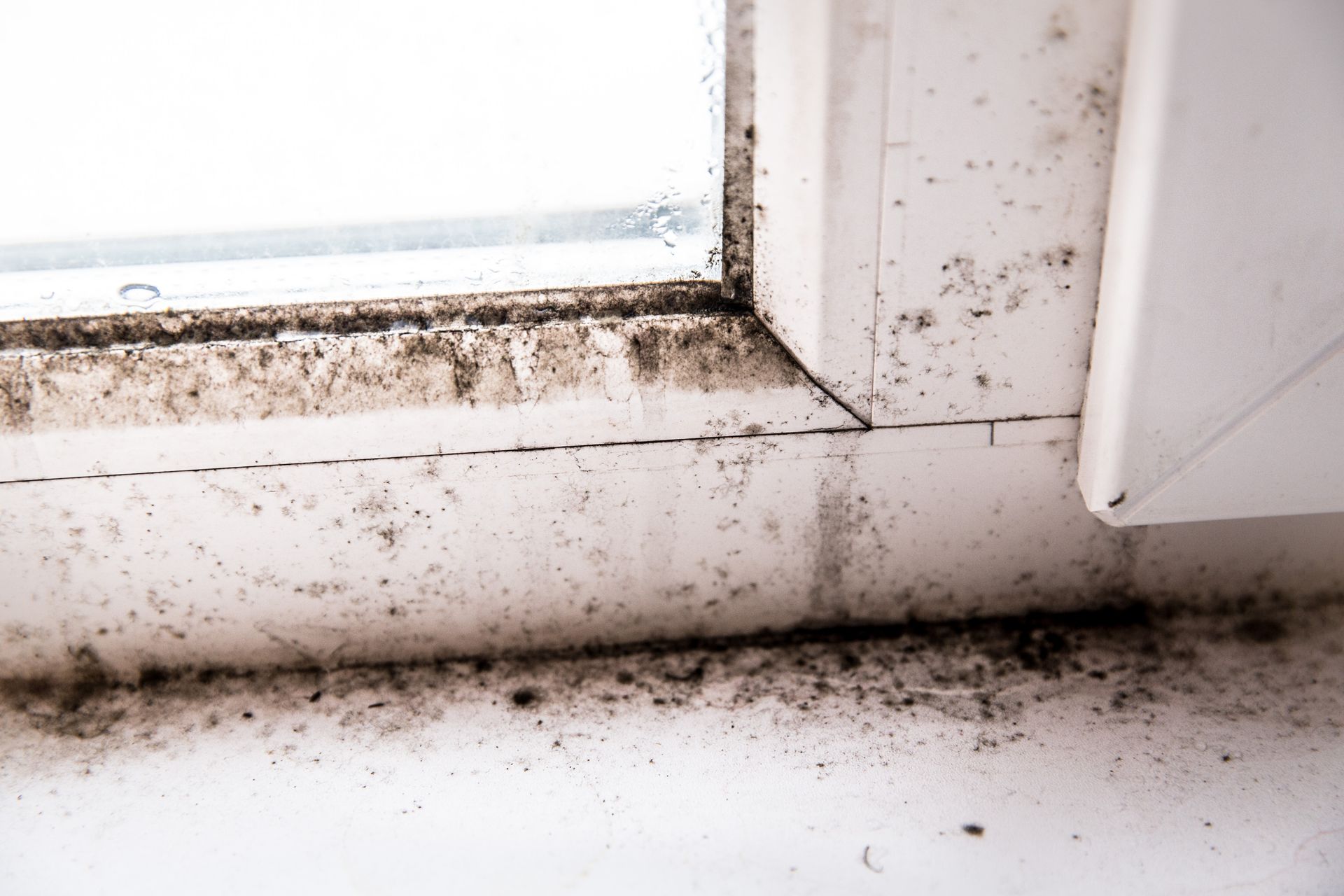 Mold and dirt buildup along a white window frame and sill in a corner.