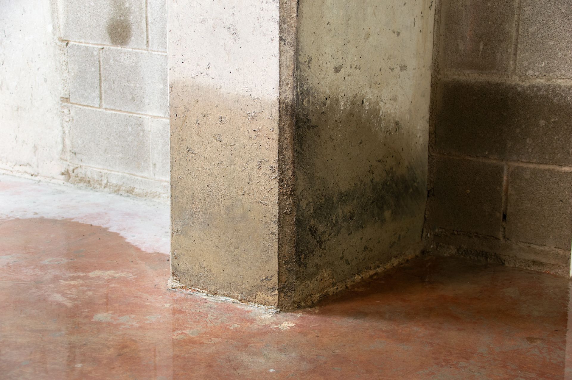 Moldy concrete pillar in a damp corner of a basement-like room with a wet red floor