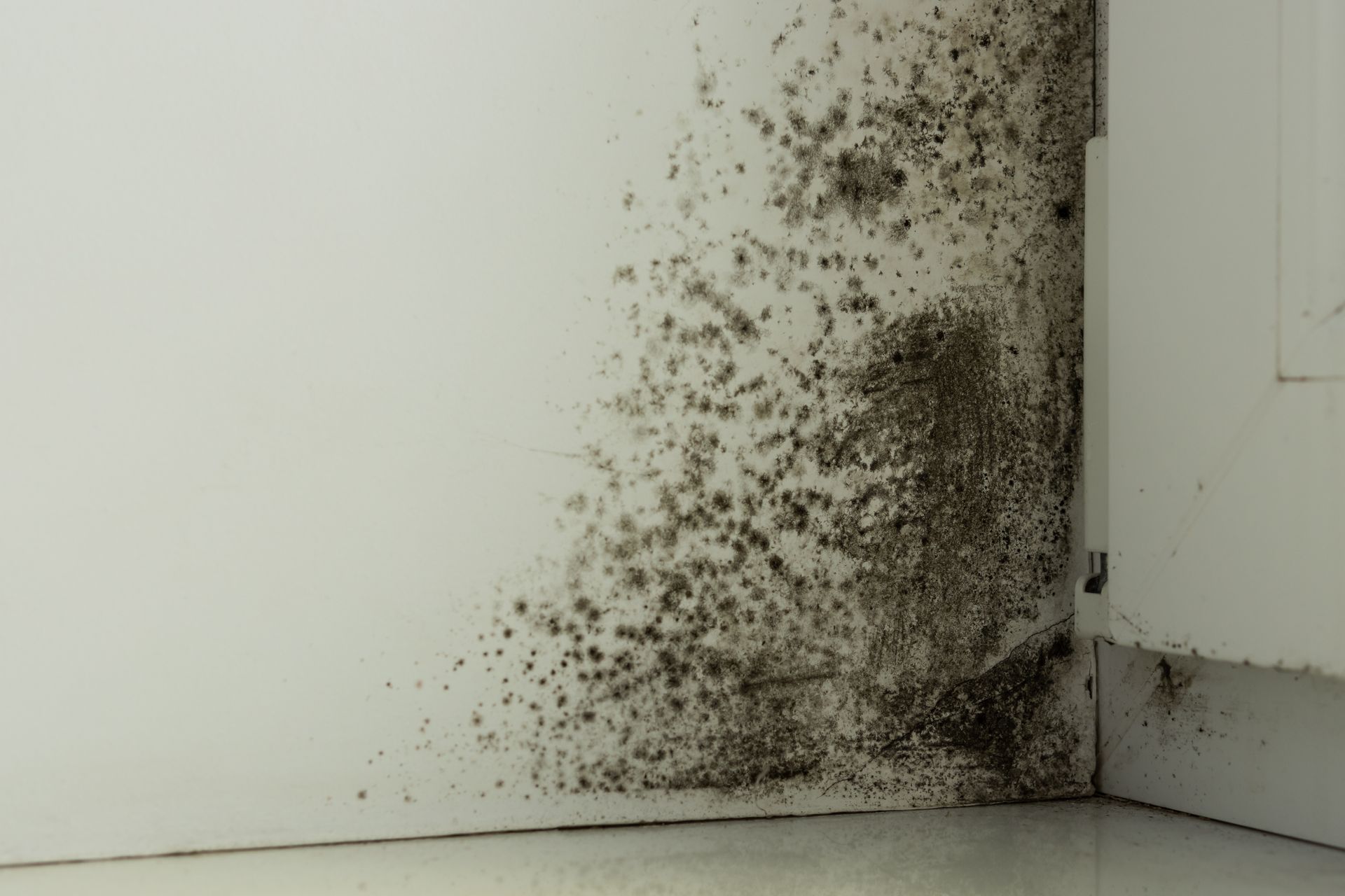 Black mold spreading on a white wall corner near the floor and door frame.