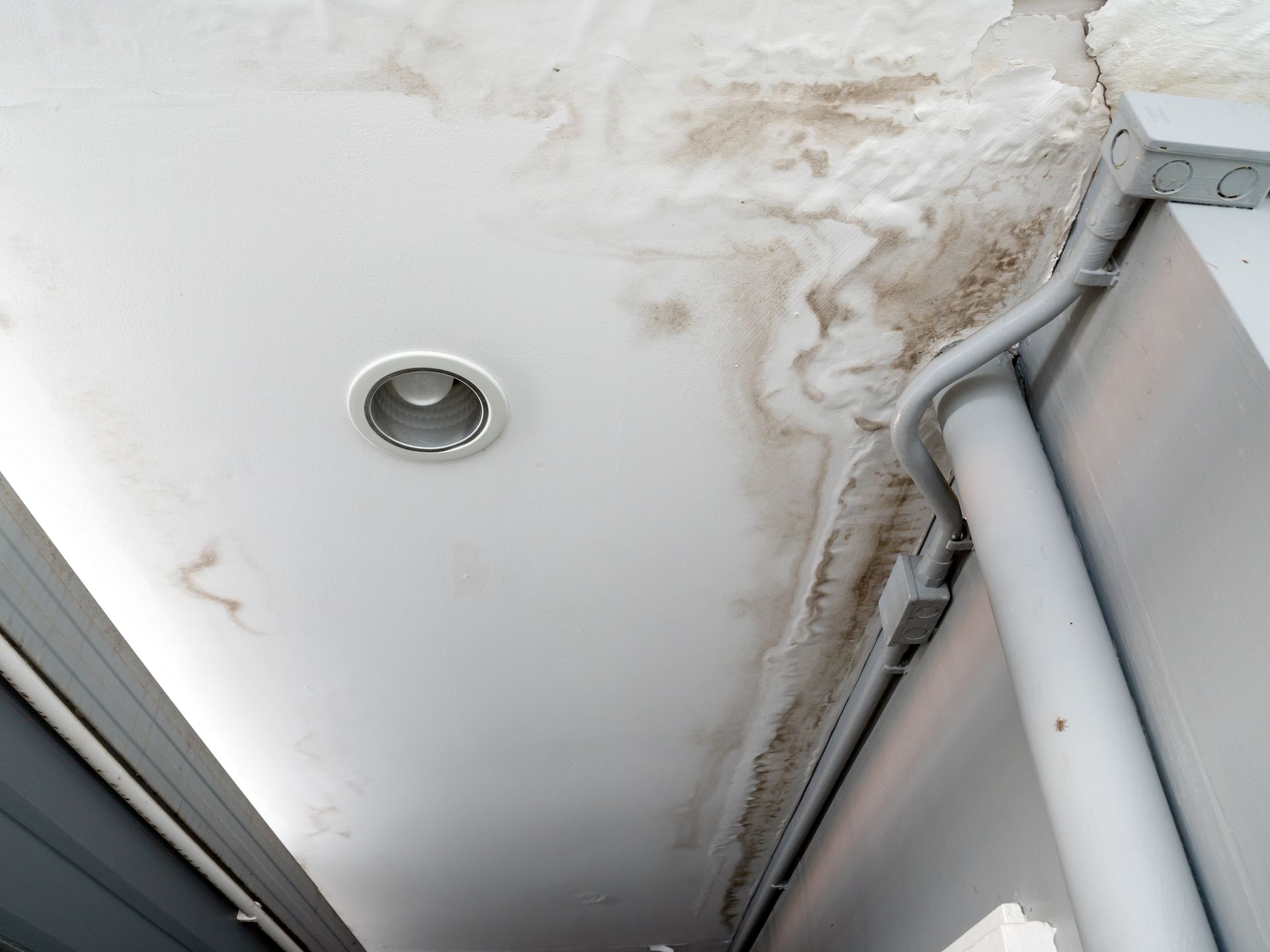 Water-damaged ceiling corner with mold stains, a recessed light, and exposed conduit and piping