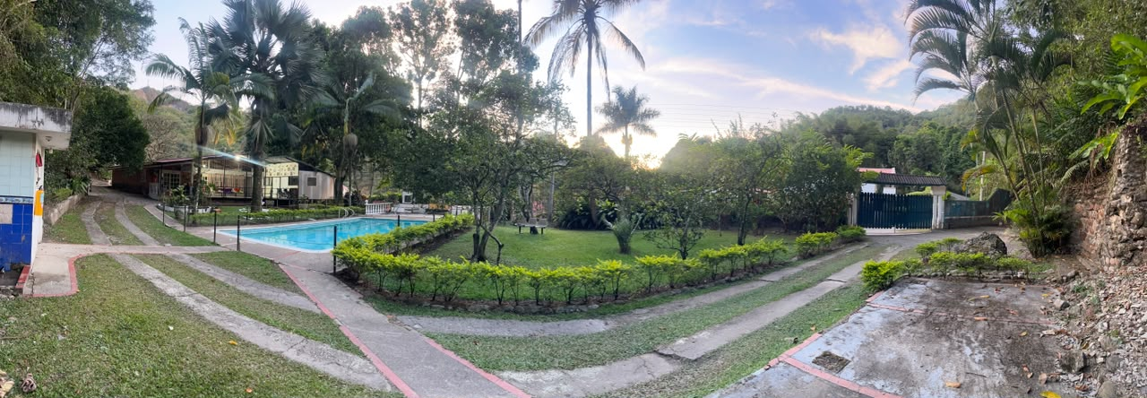 Jardín tropical exuberante con palmeras, un sendero serpenteante y una pequeña piscina azul al atardecer.