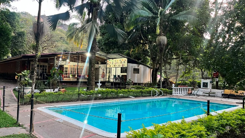 Piscina de un complejo turístico tropical con agua azul, palmeras y una pequeña cabaña al fondo.