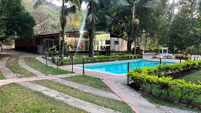 Piscina de estilo tropical con palmeras, tumbonas y un sendero de piedra que atraviesa una exuberante vegetación.