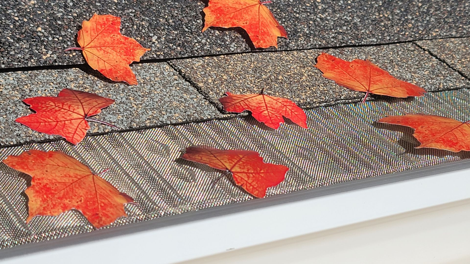 Pro Flo gutter protection protecting debris from the gutters
