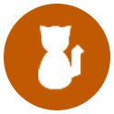 A white cat is sitting in an orange circle.