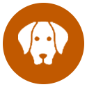 A white dog icon in an orange circle on a white background.