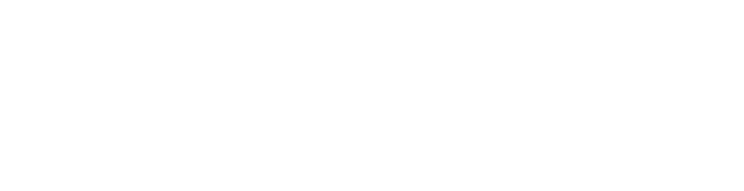 XPEL Stealth Logo