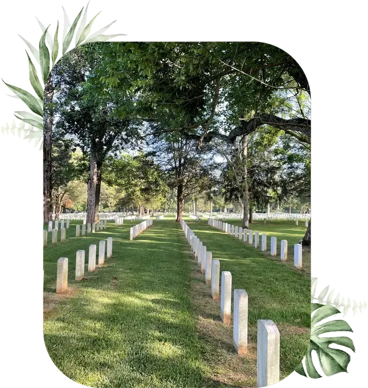 Rows of white headstones along a grass path under shade trees in a cemetery