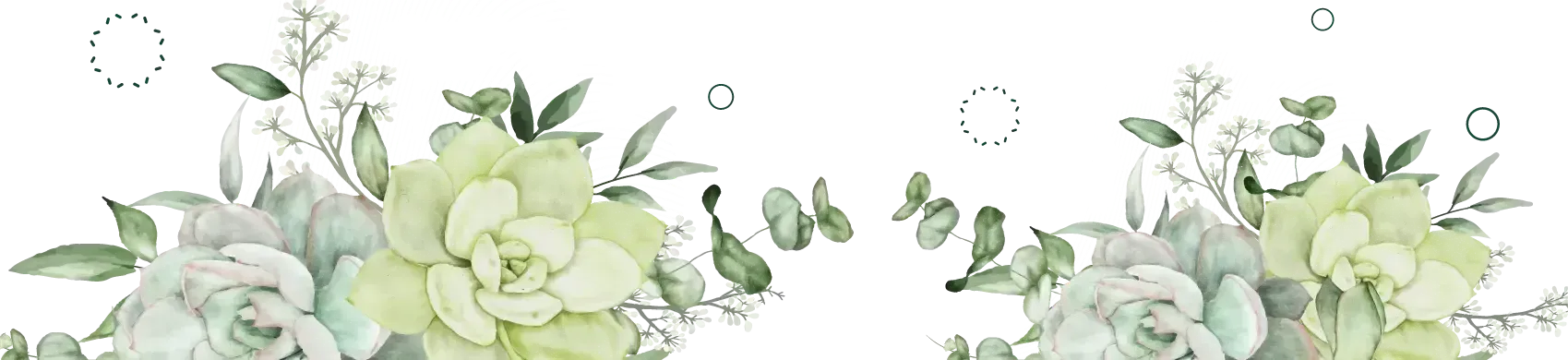 Floral border with pale green roses and white flowers along the bottom on a white background