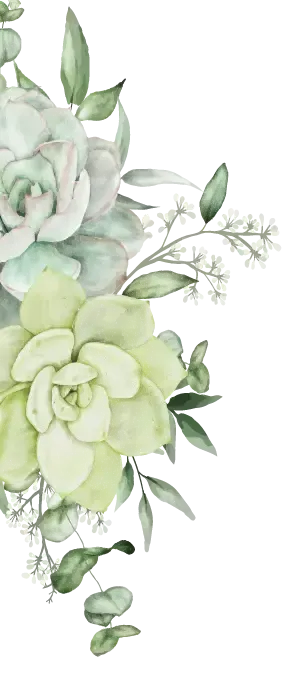 Watercolor floral arrangement with pale green succulents and leaves on a white background