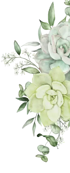 Watercolor succulent floral corner with pale green blooms and leaves on a white background