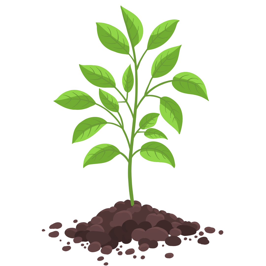 plant image