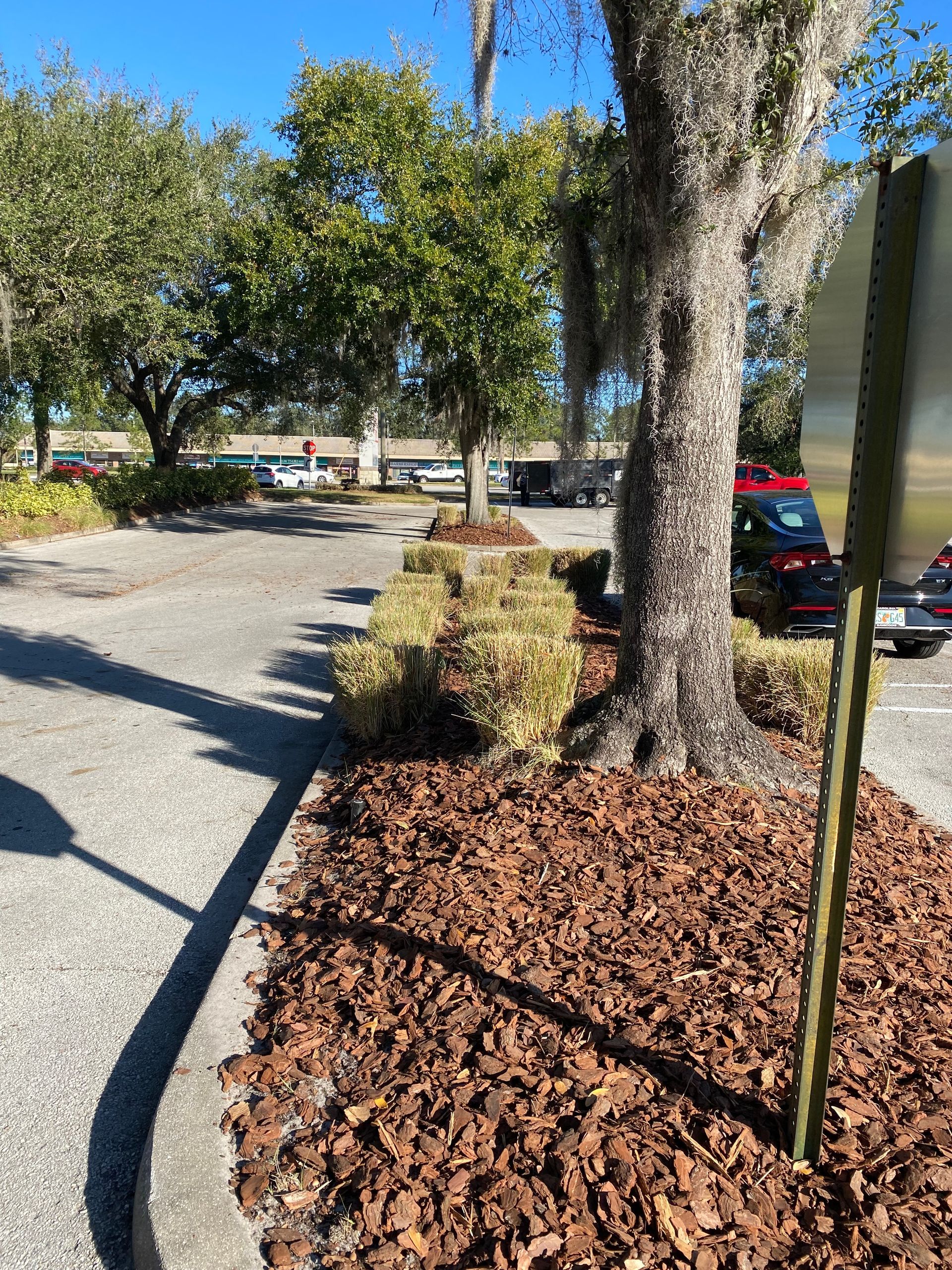 Landscaping Service