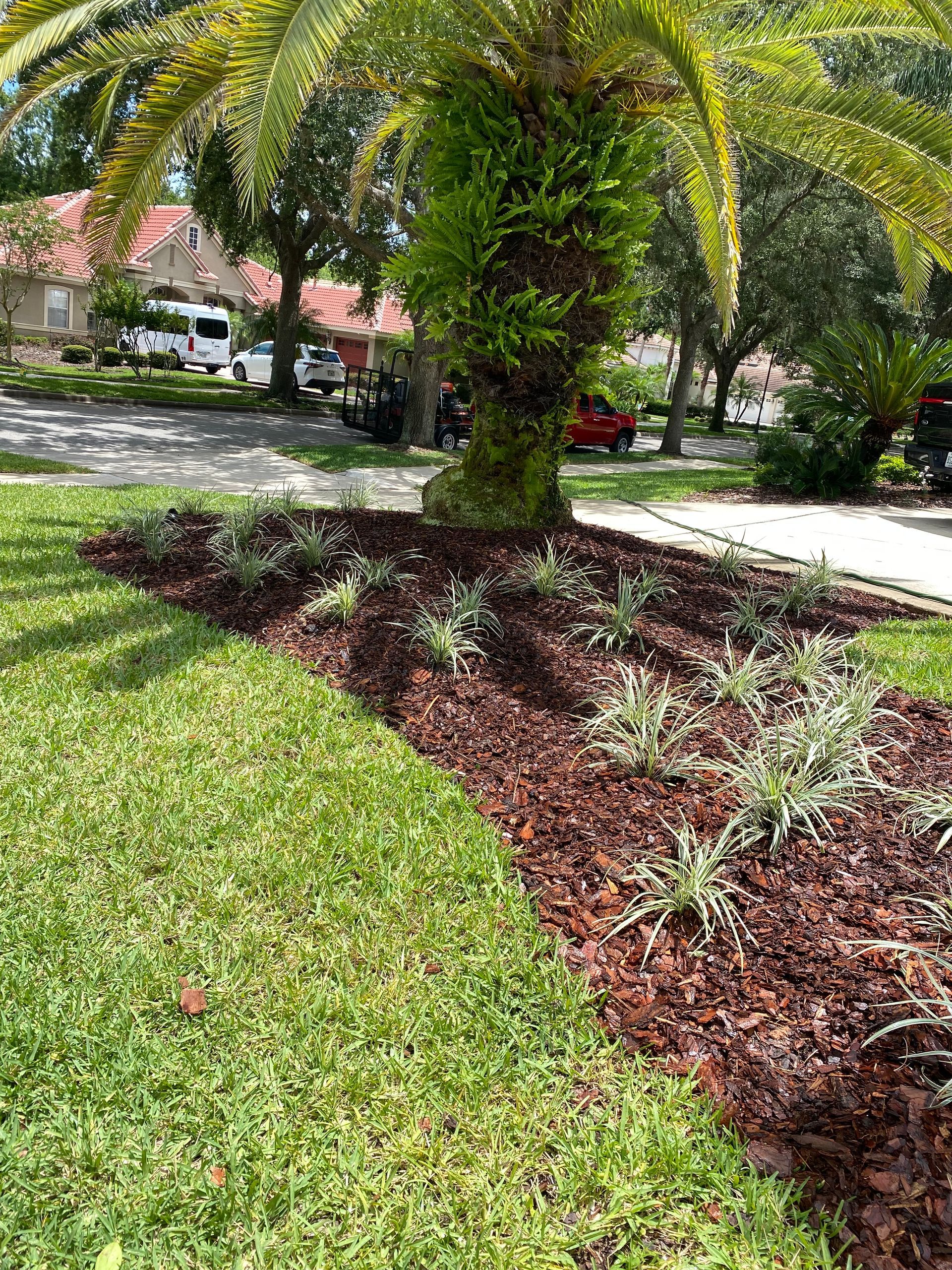 Landscaping Service