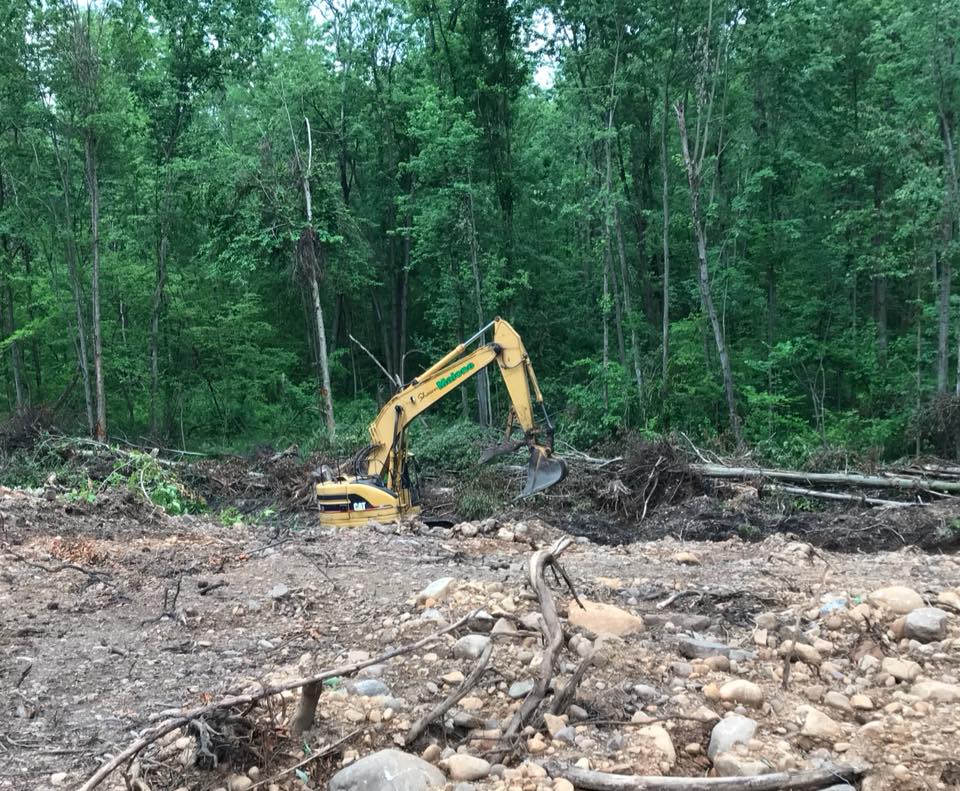Yellow excavator clearing land in a forest setting.