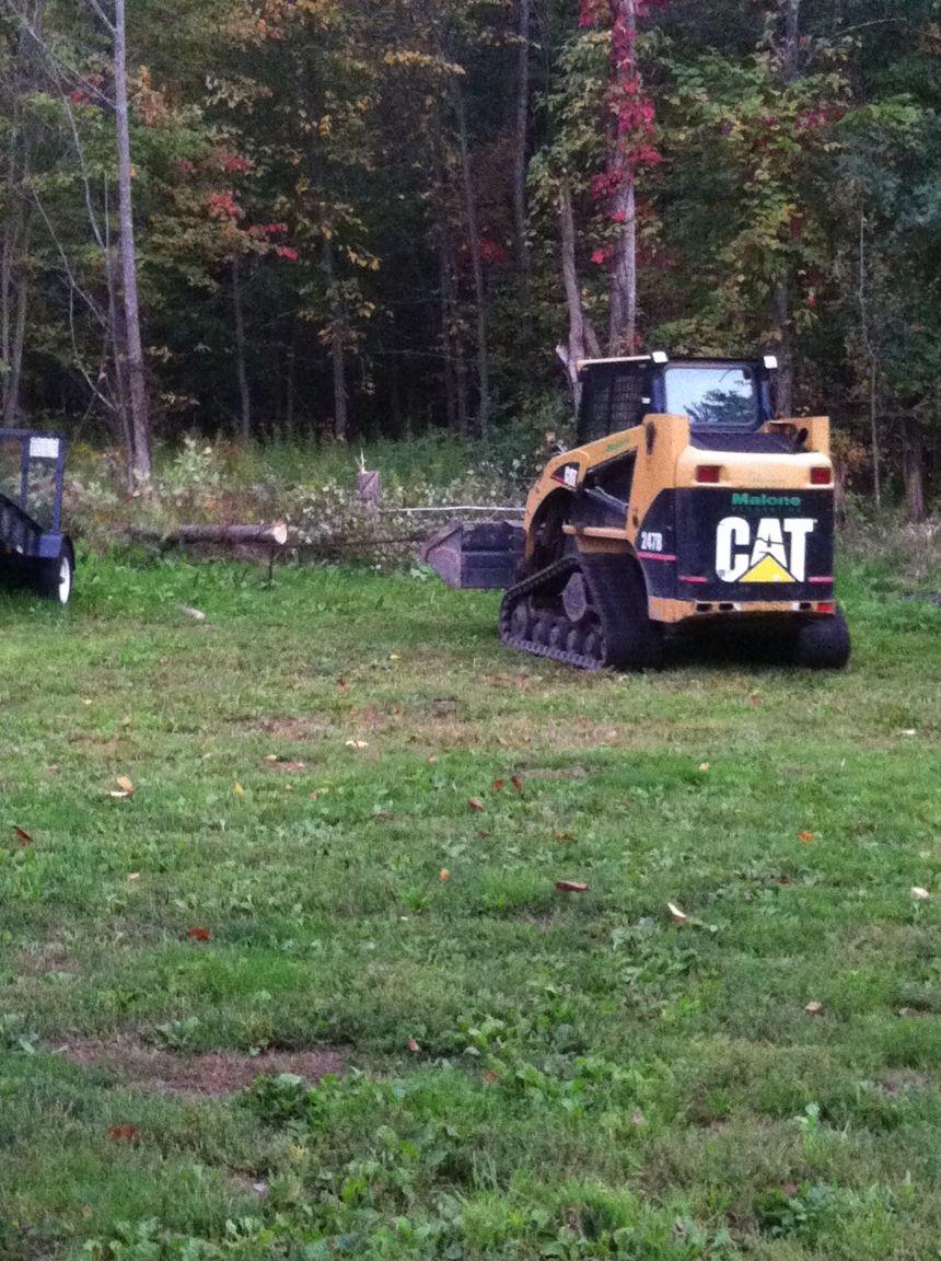Yellow Caterpillar skid steer on grass, in front of trees.