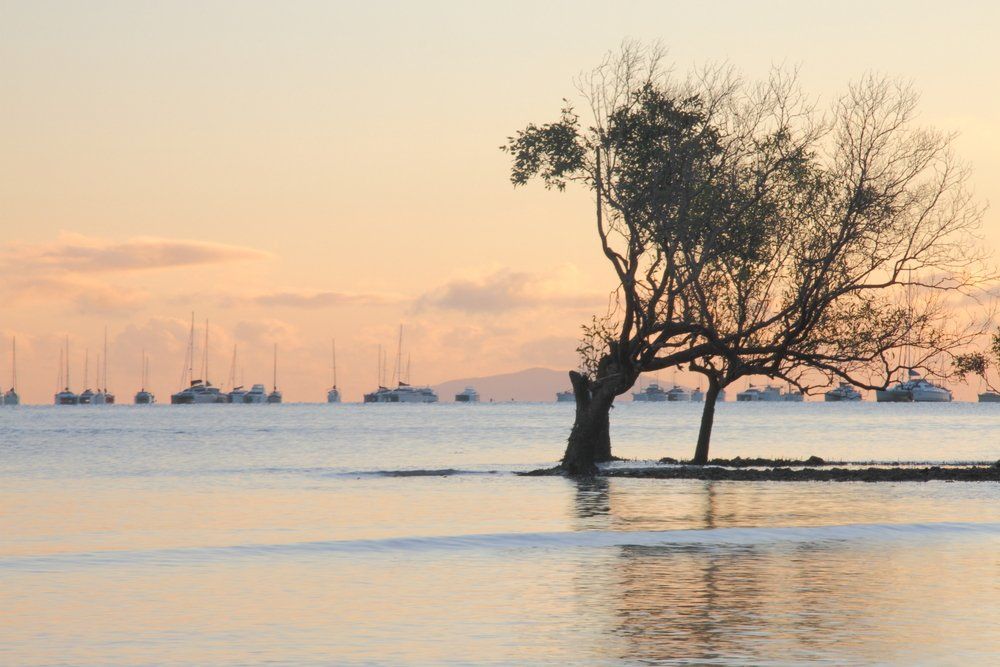 Whitsundays Tropical Holiday Region  — Whitsunday Drainage Contractors in Airlie Beach, QLD