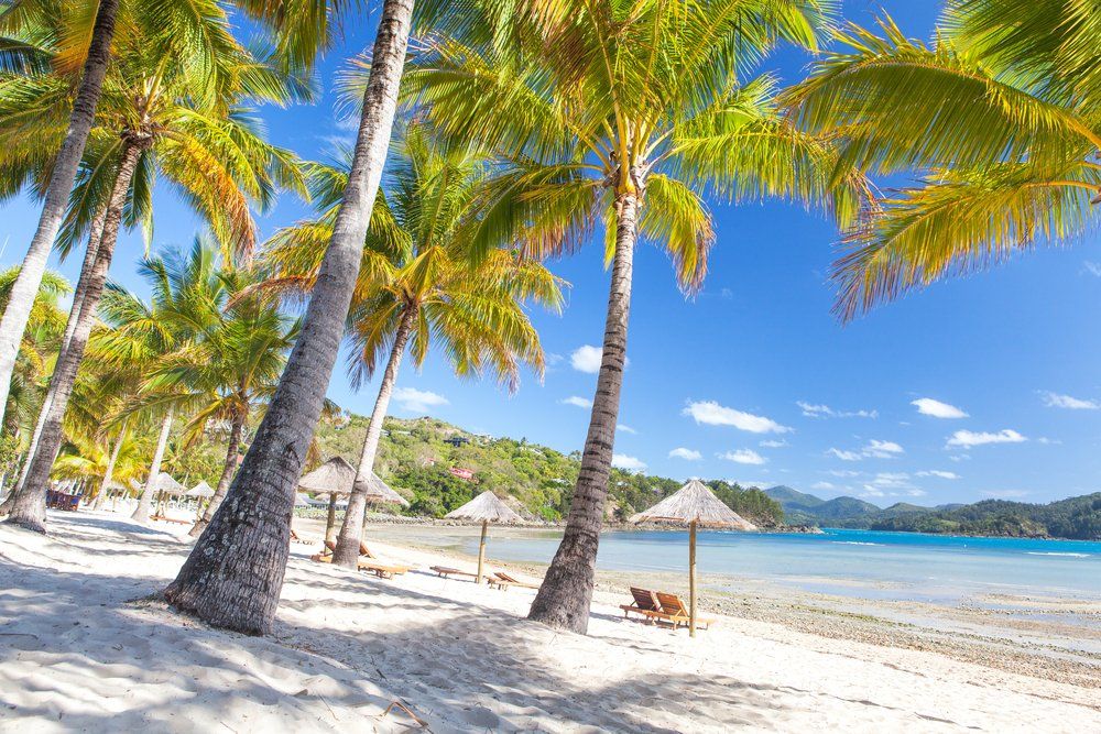 Catseye Beach on Hamilton Island in the Whitsundays — Whitsunday Drainage Contractors in Airlie Beach, QLD