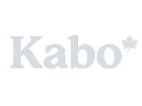 Kabo working with Meta Marketing Agency