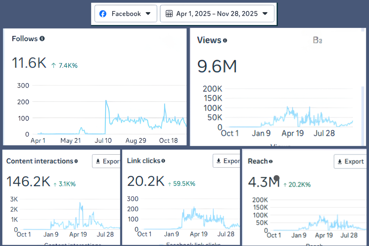 Meta dashboard showing organization growth