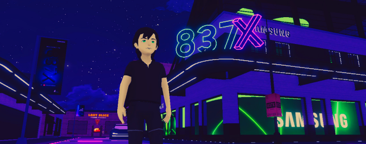 projects in the metaverse
