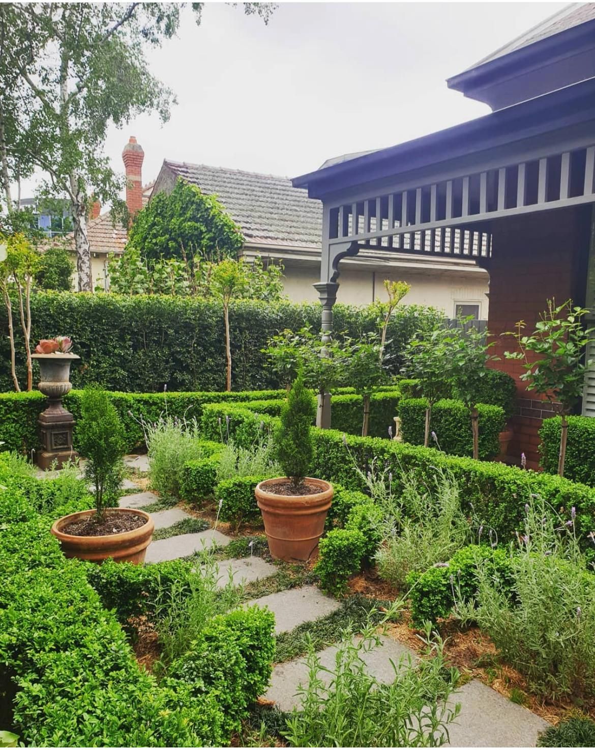 Hawthorn Classic Melbourne garden