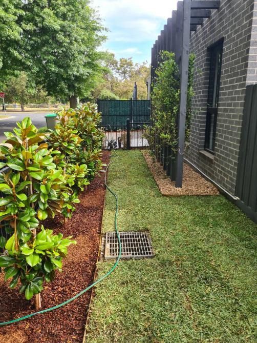 Manual Weeding
