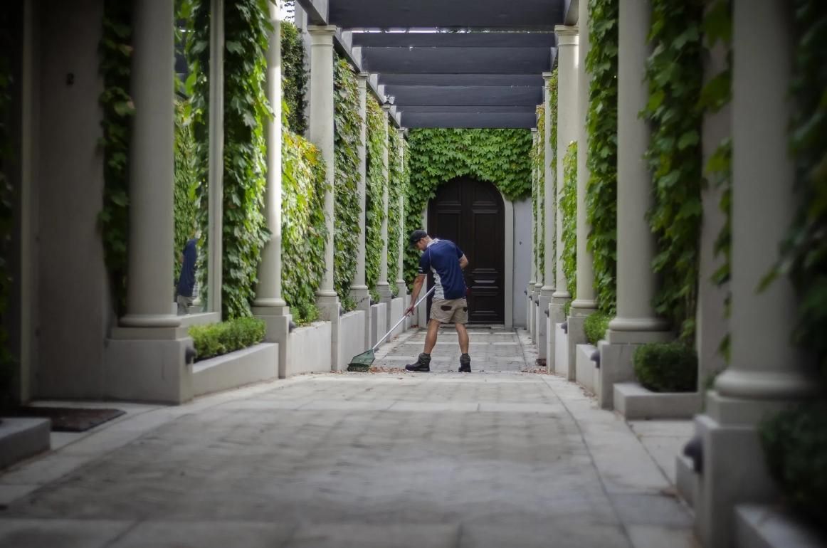 Removing Excess Leaves