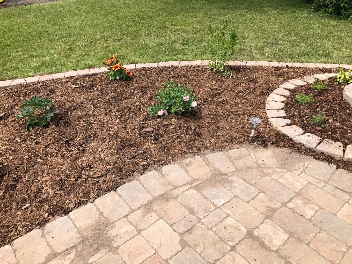 Landscaped garden bed with mulch, small flowers, and a curved stone border beside a paver patio and lawn