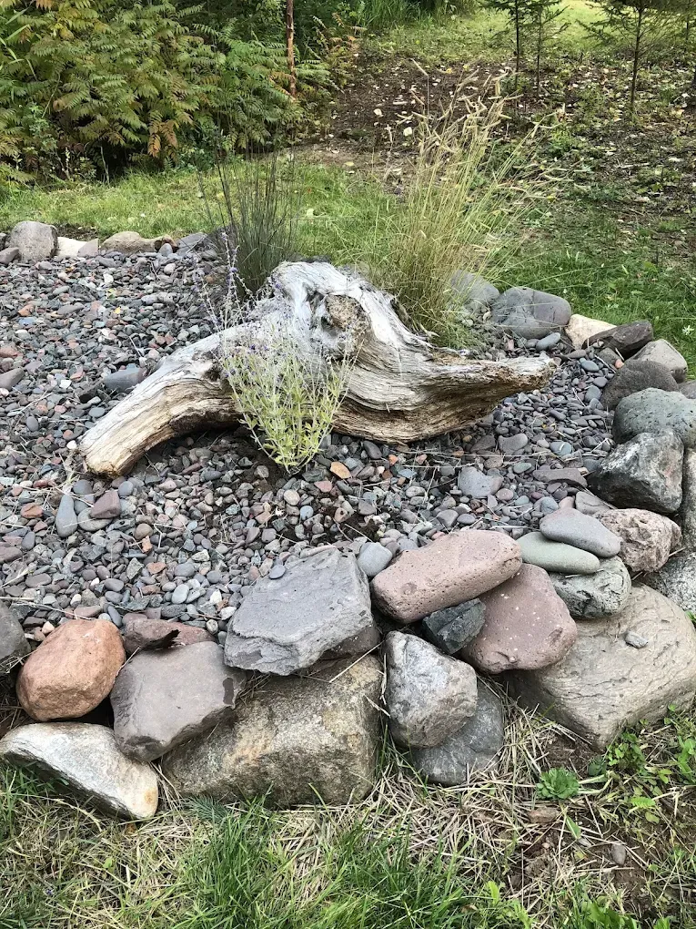 Driftwood centerpiece in a rock garden with gravel, stones, and grass in the background