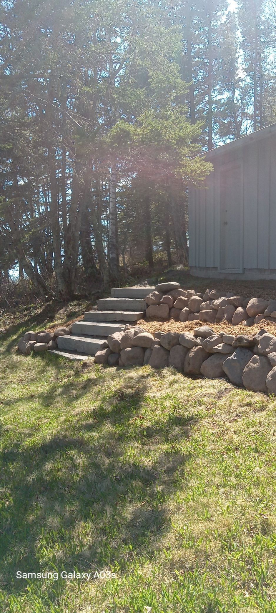 Backyard with grass, stacked stones, shrubs, and a gray shed in sunlight