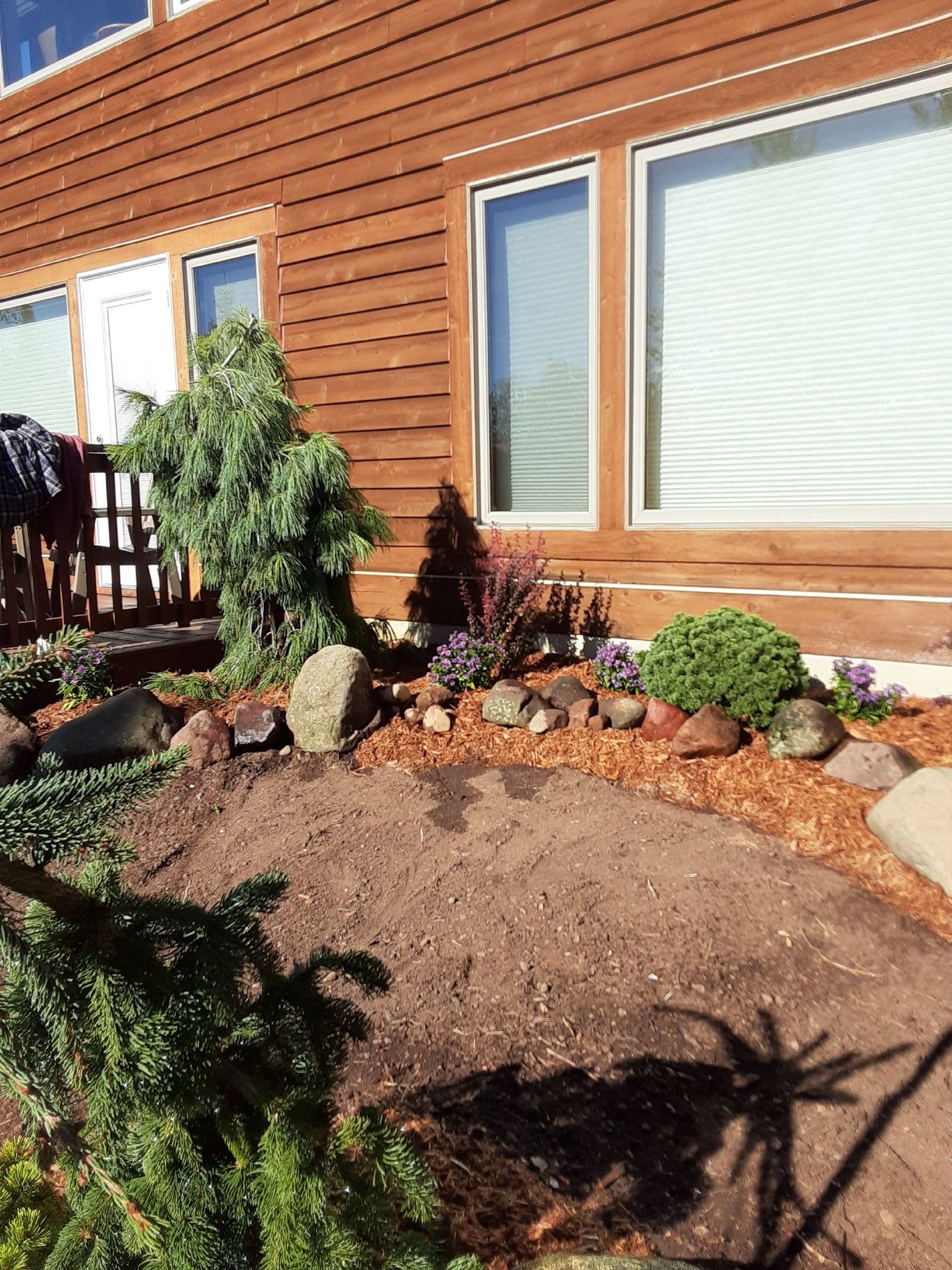 Landscaped front yard with a wooden house exterior, large windows, rocks, and shrubs in sunlight.