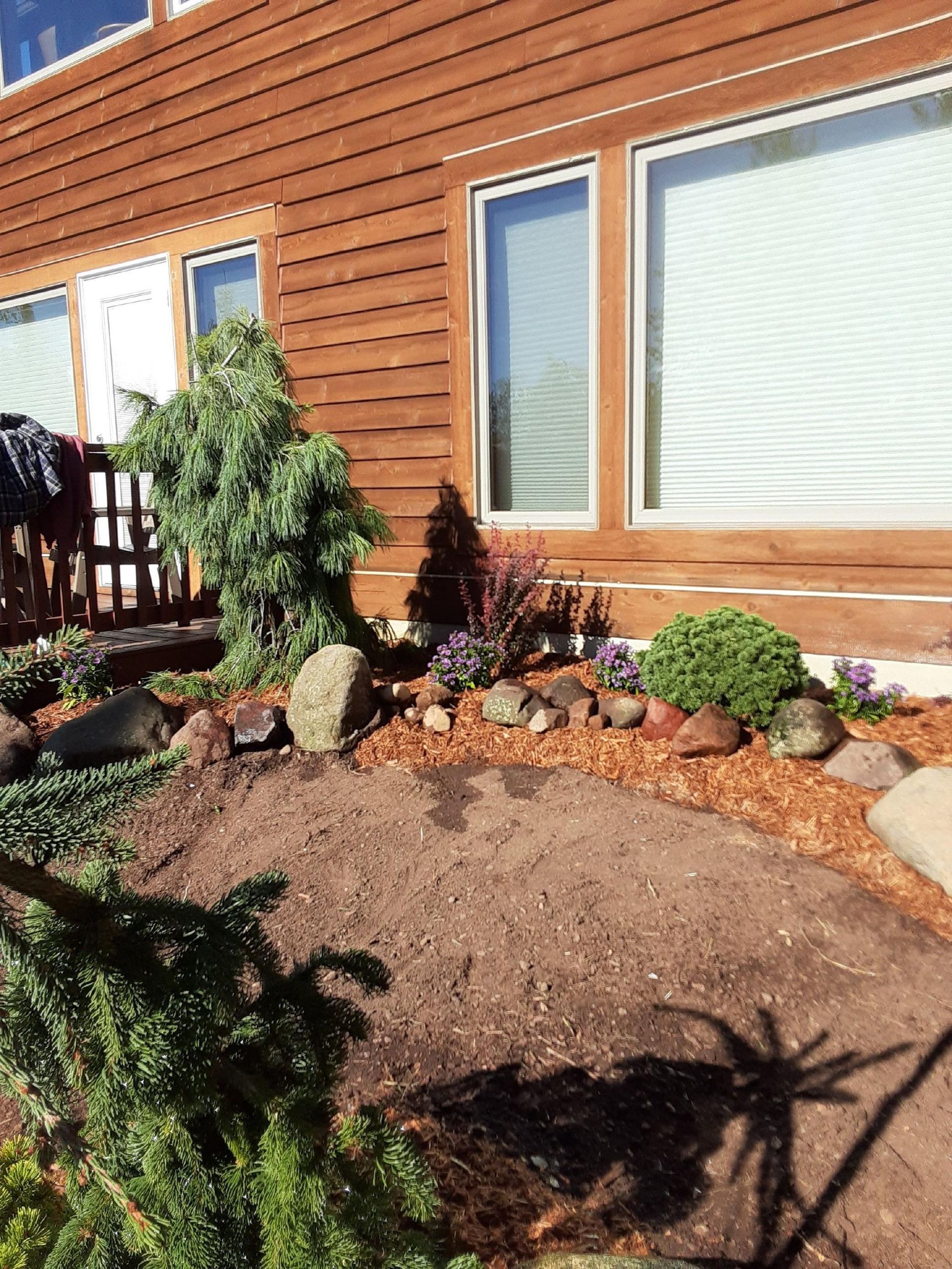 Landscaped front yard with mulch, rocks, shrubs, and a wooden house wall with windows