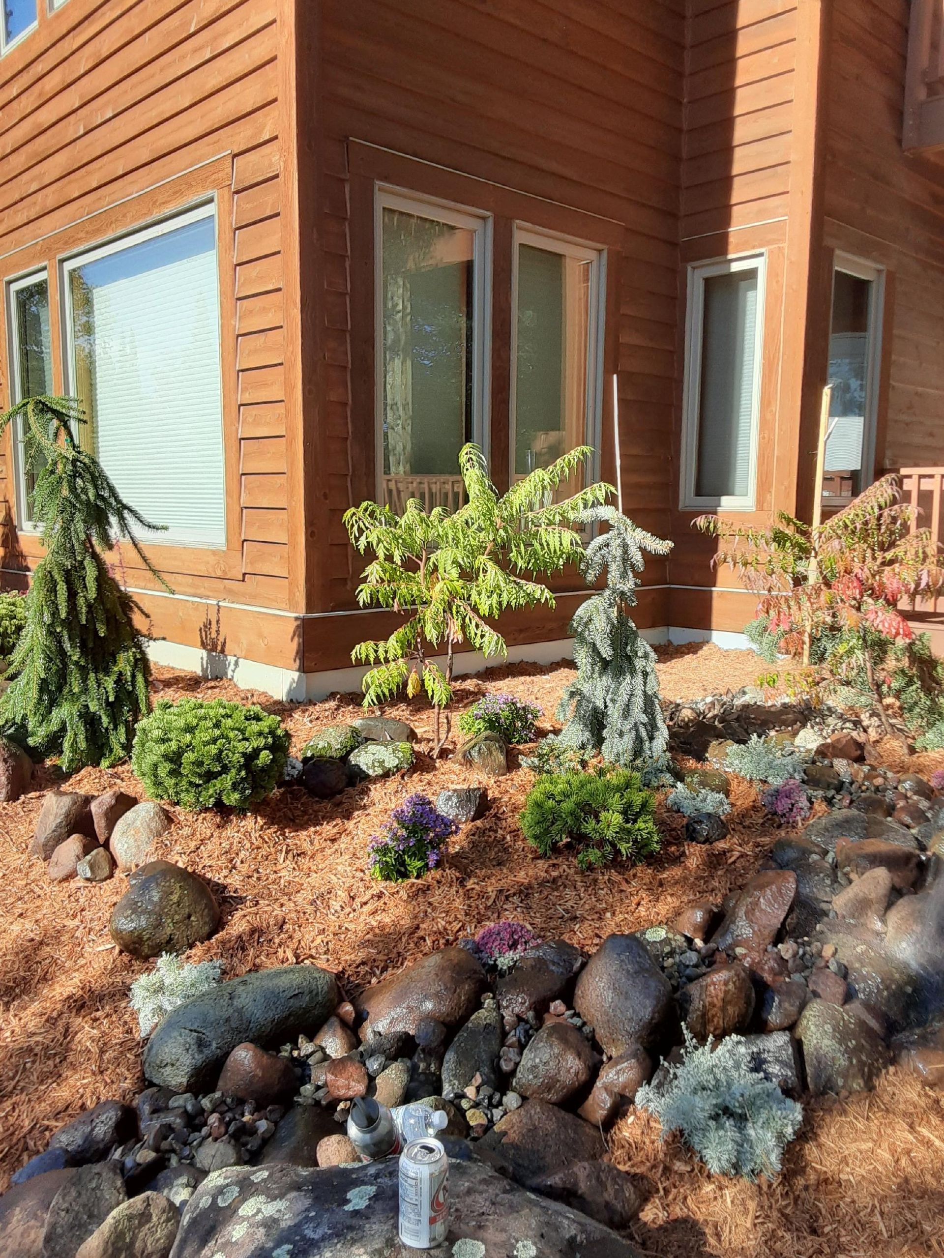 Landscaped garden bed with rocks and small shrubs beside a wood-sided house